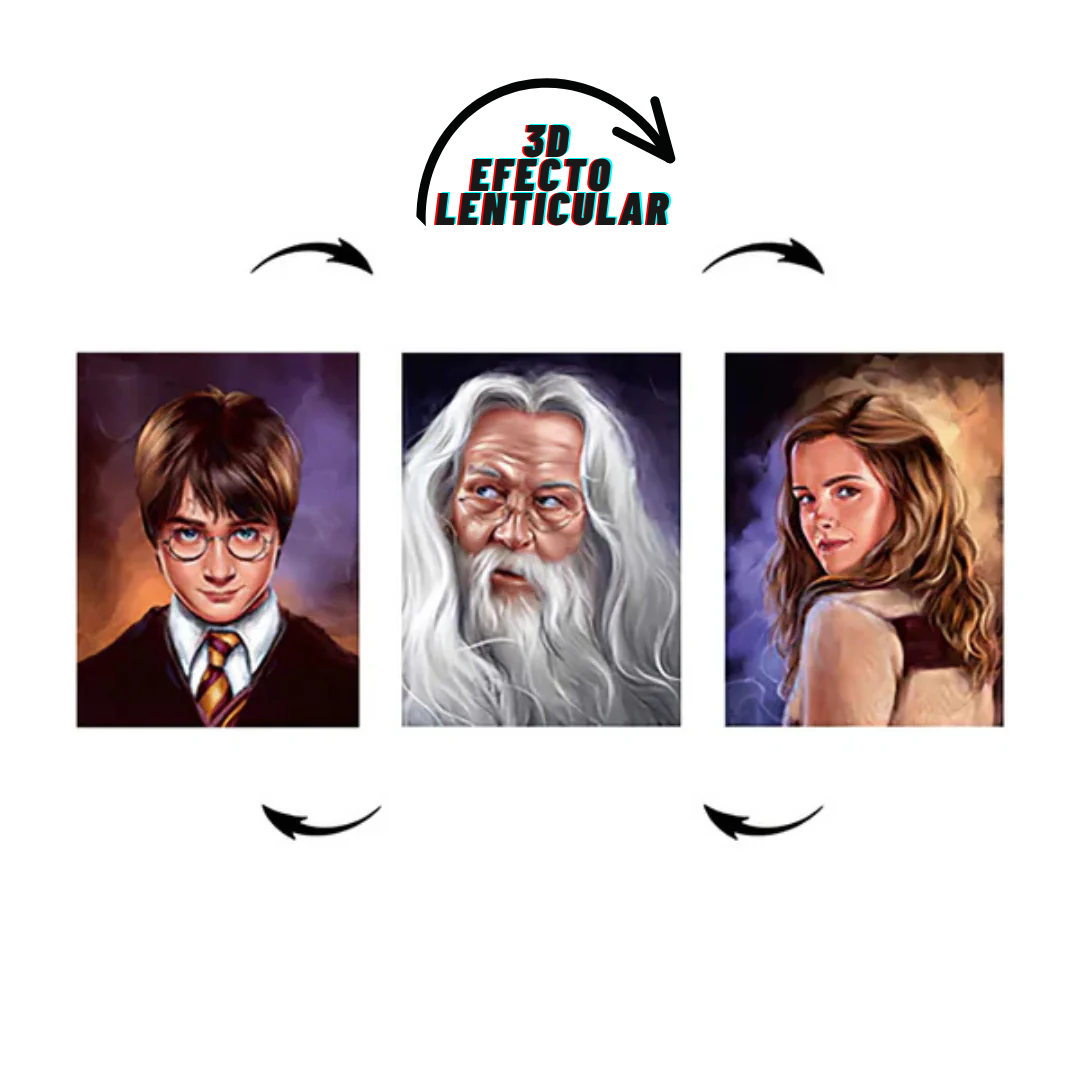 Poster 3D Harry Wizards