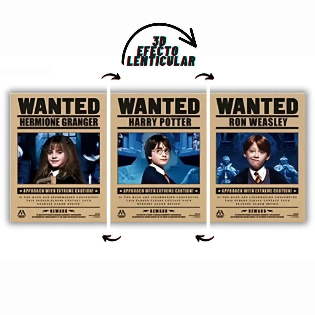 Poster 3D Harry Wizards