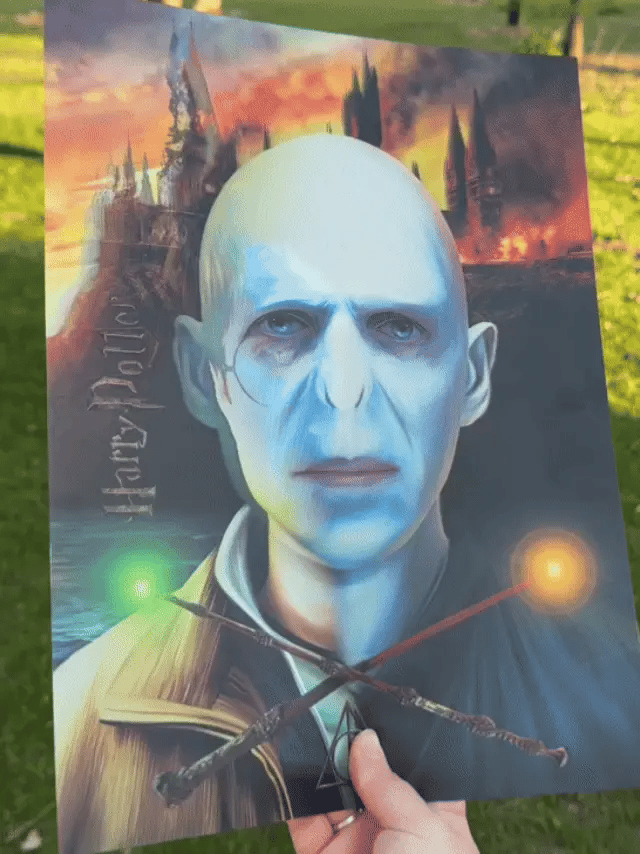 Poster 3D Harry Wizards