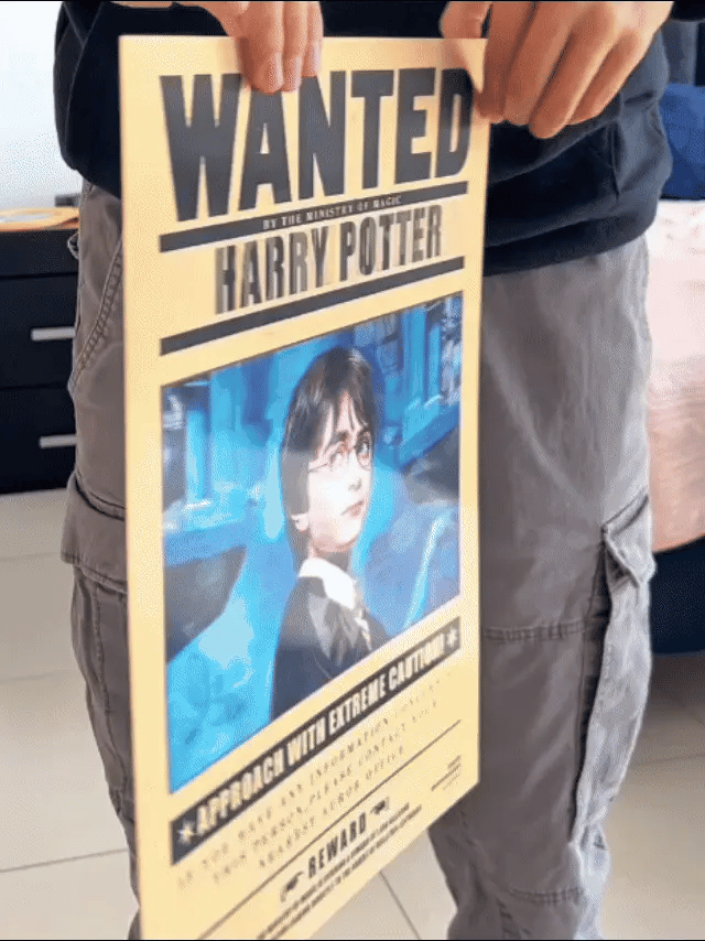 Poster 3D Harry Wizards