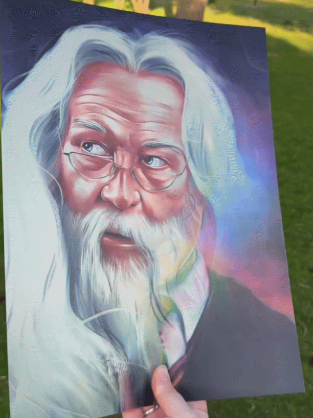 Poster 3D Harry Wizards