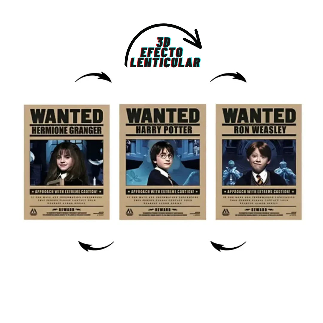Poster 3D Harry Wizards