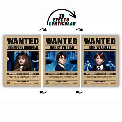 Poster 3D Harry Wizards