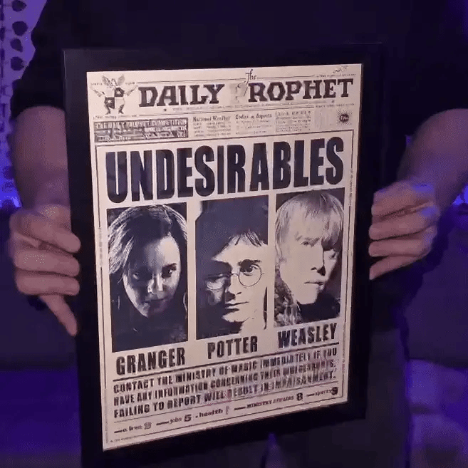 Poster 3D Harry Wizards